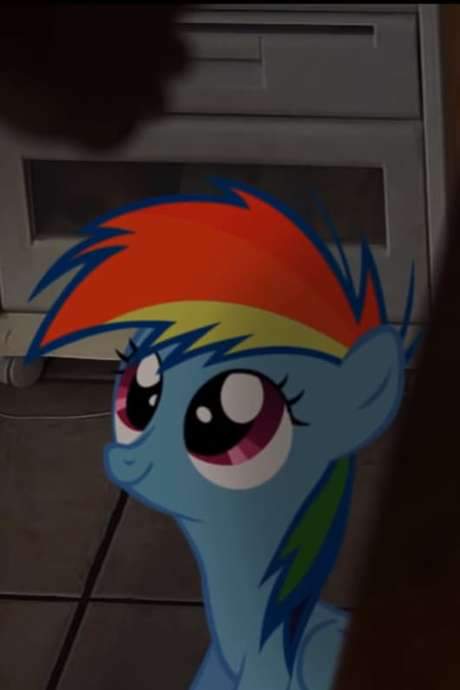 My Little Dashie
